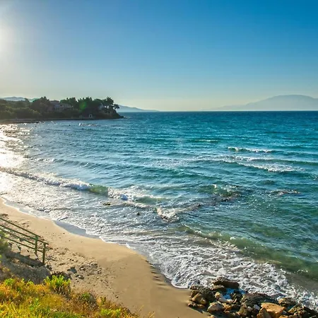 Amore Beachfront Apt *