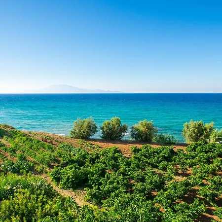Amore Beachfront Apt Διαμέρισμα *